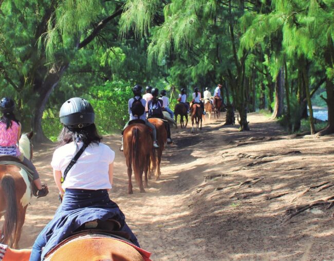 ノースショアでの乗馬