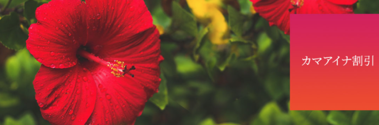 アラモアナセンターにてカマアイナ 学生および教員向けの特別割引を開始 ハワイの最新ニュース ライトハウス ハワイの生活 観光情報